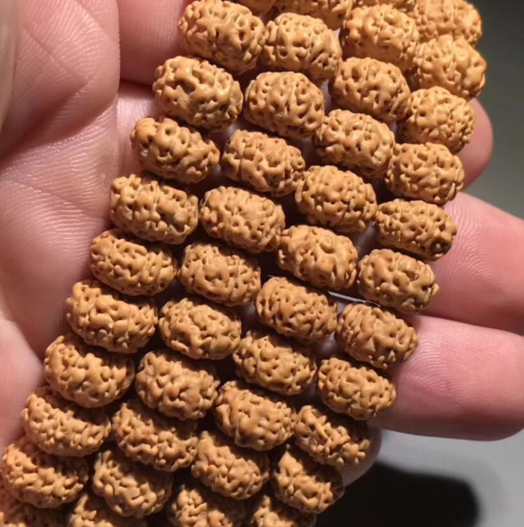 金刚菩提手串常用术语,金刚菩提英文怎么说