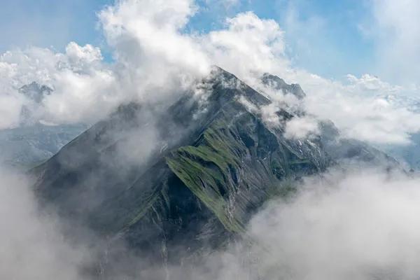 今年的这篇高考满分作文，大家都说看不懂