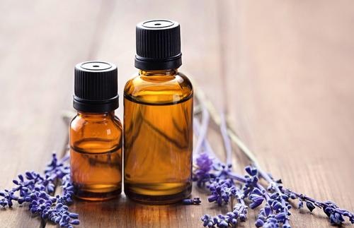 助睡眠推荐薰衣草,安神养颜之熏衣草茶