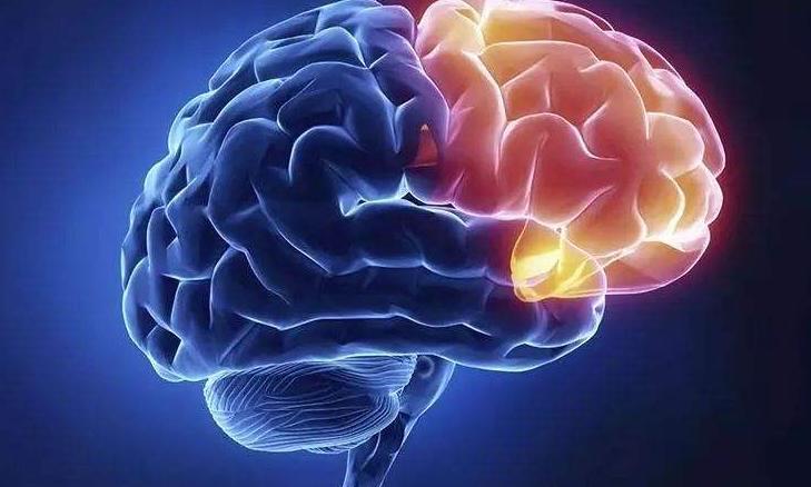 屁股大是否好生养,屁股大生出的孩子更聪明是真的吗