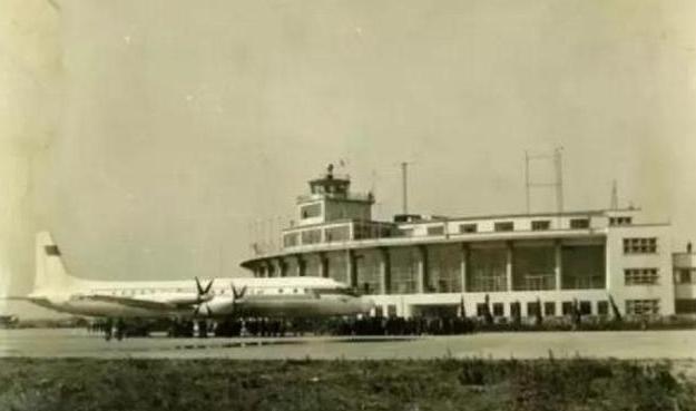 神秘老外带两只老鼠,神秘老外带两只老鼠出国