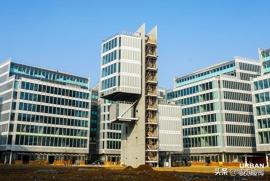 从学霸到赌王再到上市公司老总,浙大化学系学霸到服装公司上市