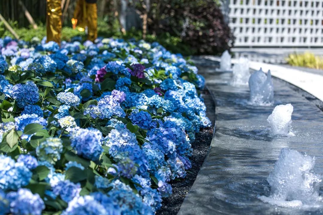 苏州常熟的尚湖,常熟万科尚湖