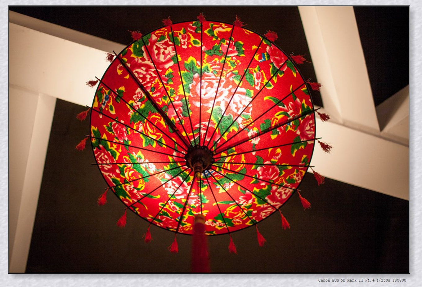 常州旅游东方盐湖城,骆驼之旅视频