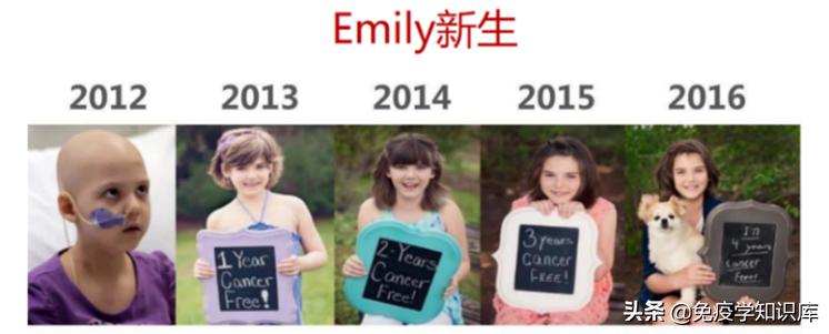 免疫细胞疗法疑问,免疫细胞治疗的真实感受