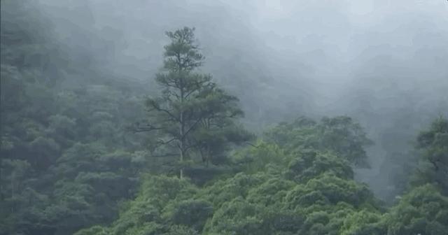 成都出发1.5h,藏在青城后山网红轻奢度假民宿,丨桐去隐泉