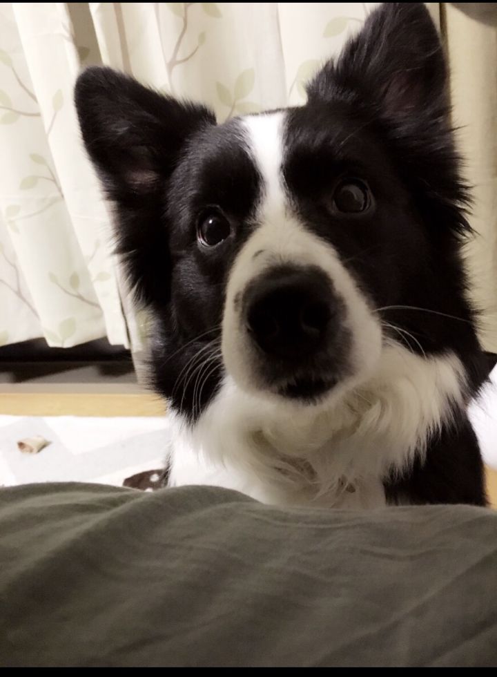 人生灰暗时刻，一支口红拯救了我