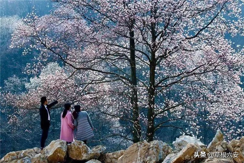 免费!六安这里竟然藏着这么惊艳的景色,少有人知道!