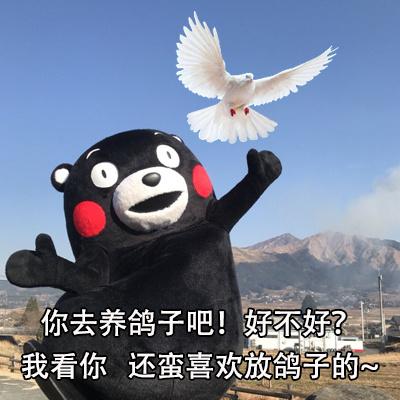 2019年度十大流行词汇大全,2019时下最流行的词语