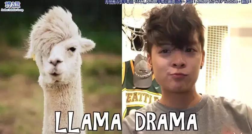 韩国娱乐圈博主,半个韩娱圈进行客串