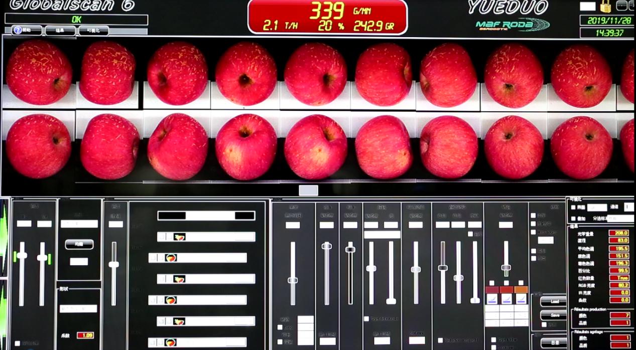 85鍚庢捣褰掔棿杩风鑻规灉,灞变笢85鍚庡皬浼欑棿杩风鑻规灉