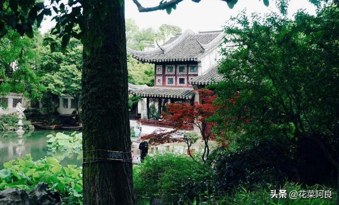 留园拙政园哪个景色好,留园和拙政园