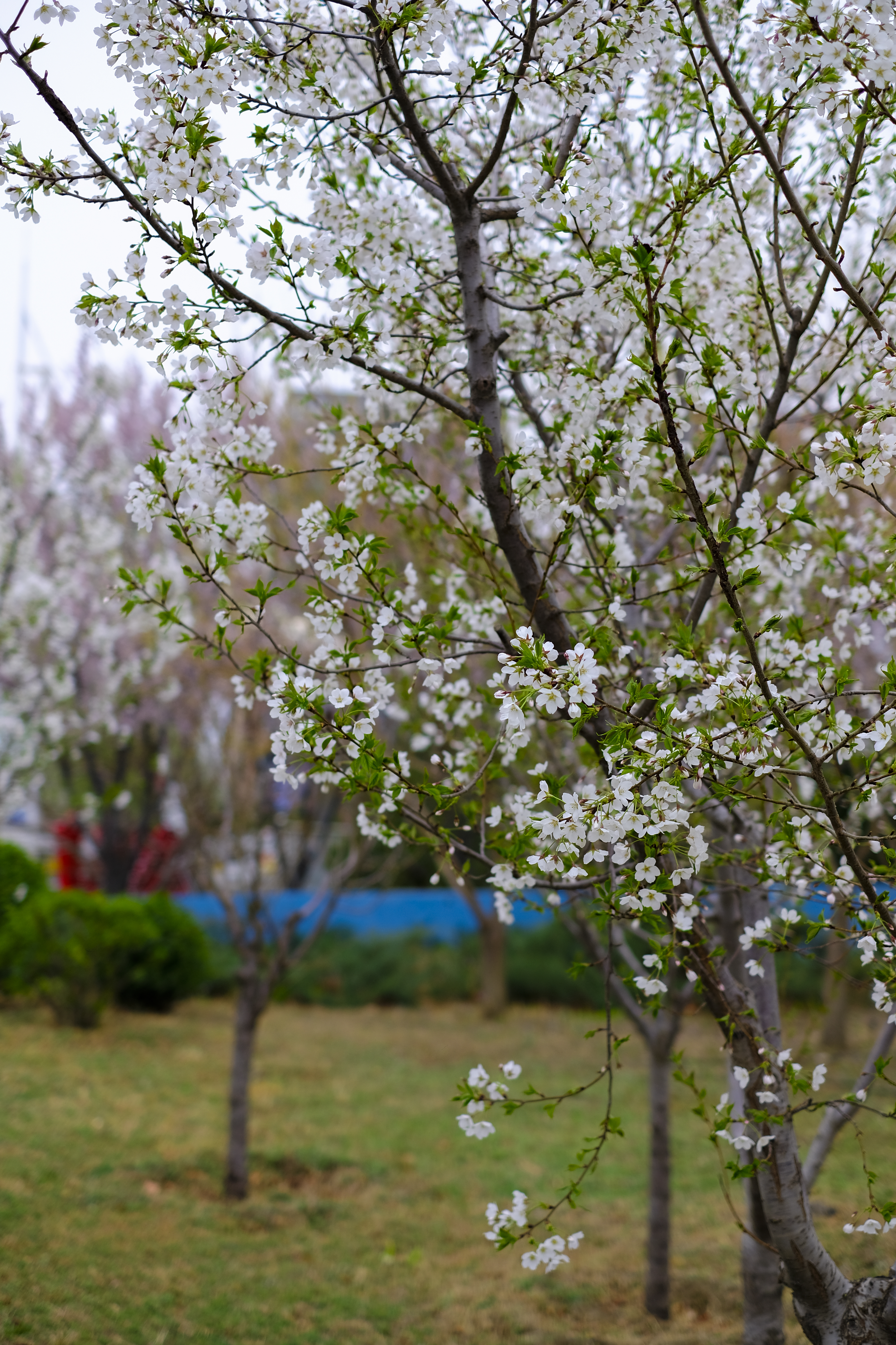 手机摄影装备推荐,川藏线户外摄影装备
