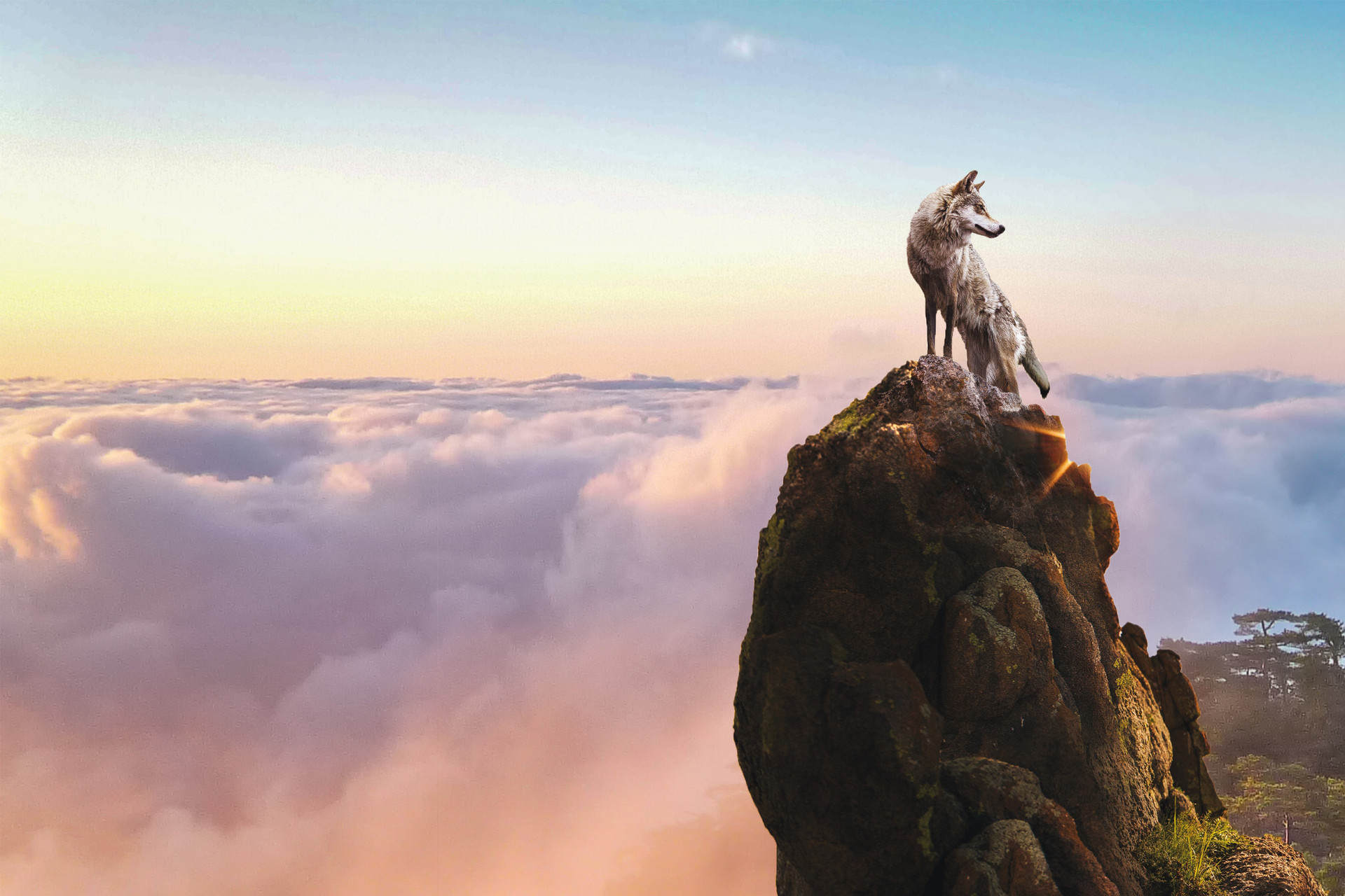 职场里被孤立最好的解决办法,职场被孤立的正确方法