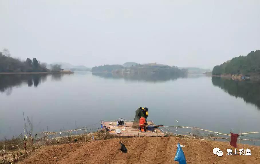 继光水库哪个位置好钓草鱼,继光水库野钓视频