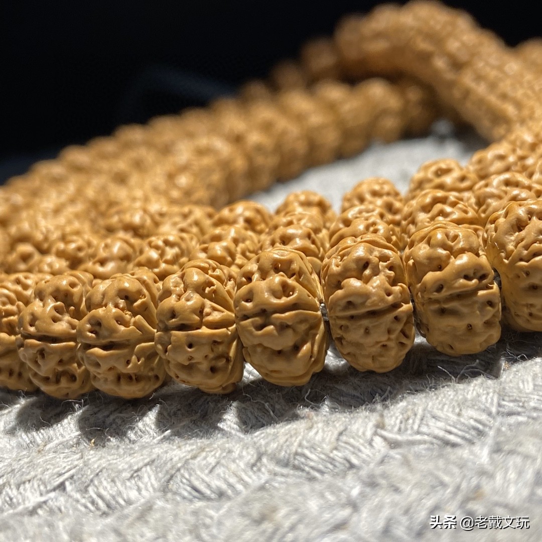 文玩手串金刚菩提心得,小金刚菩提子基础知识