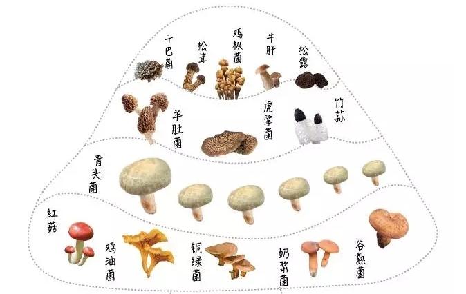 广东和云南到底谁更敢吃,云南人为什么很会吃