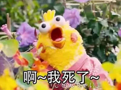 时尚的网络潮语,2019当下最潮的流行语