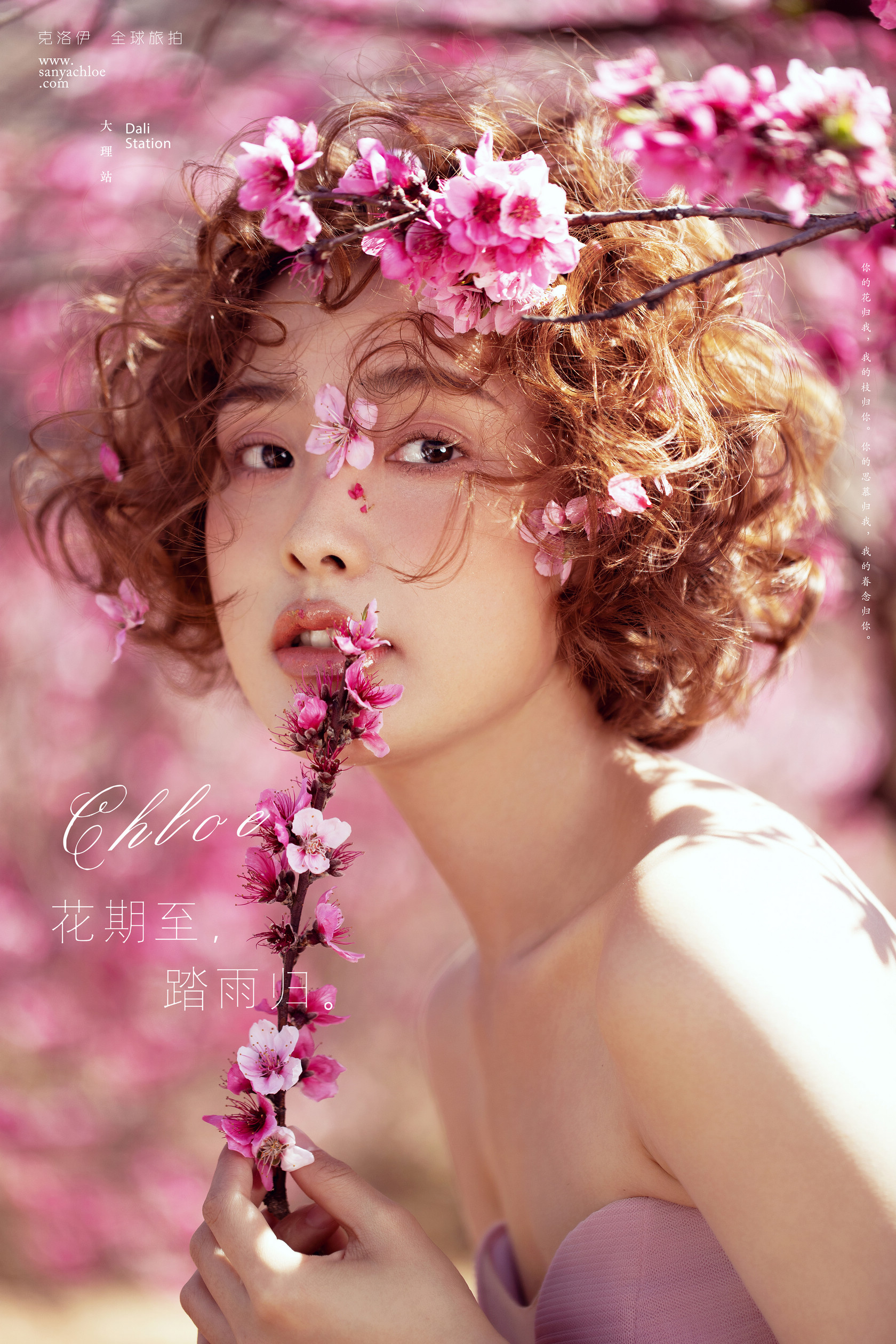 婚纱照风格推荐爱情,喜嫁风格婚纱照太好看了