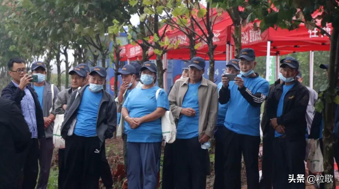 住商肥料“脲醛+”减肥增效中国行：大姜“吃”套餐