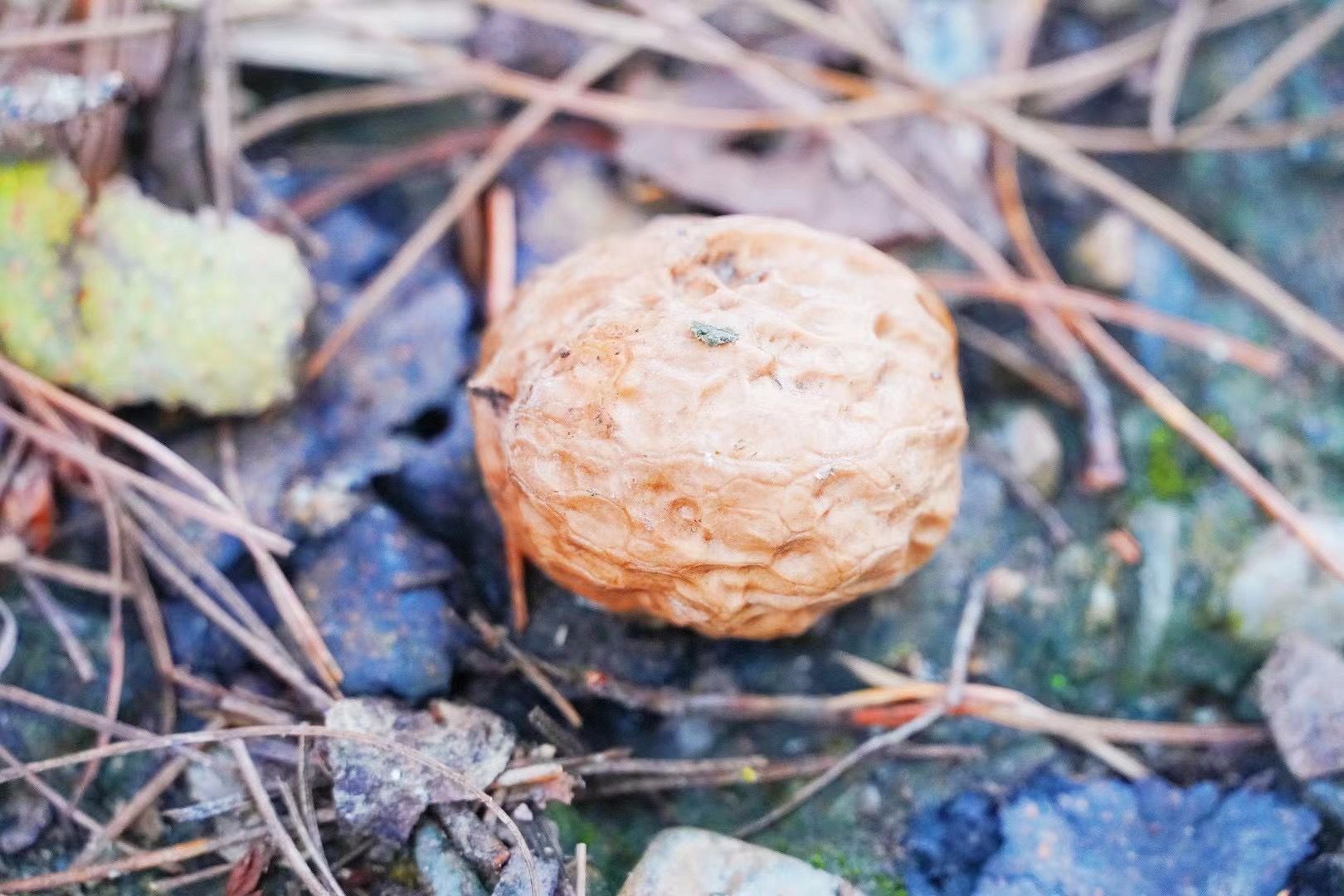 “乡”约丽江塔城,这里有你向往的田园生活