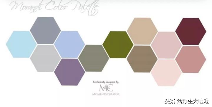 春天穿这些颜色真是美爆了,冬天穿这些颜色真的太美了