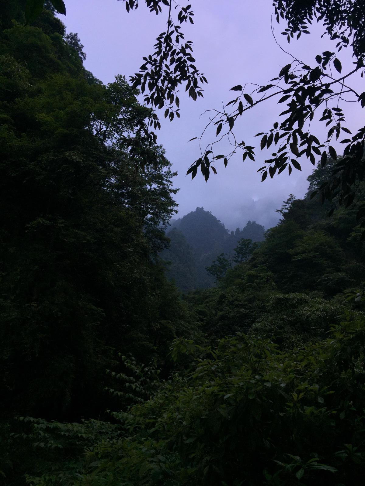 峨眉山登顶佛像,峨眉山登顶记完整版