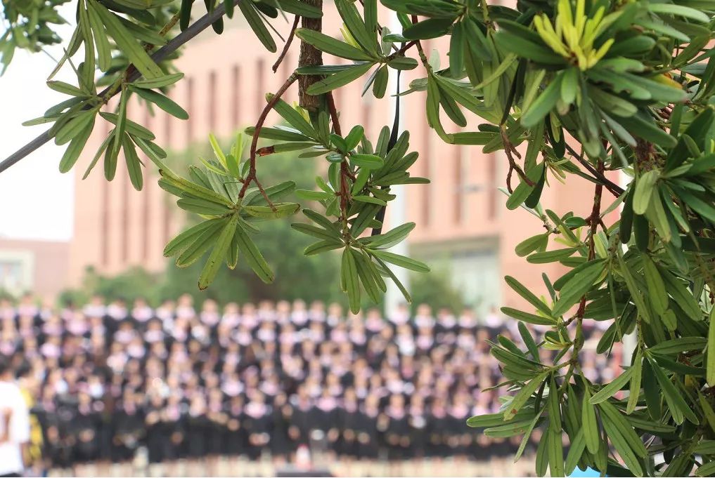 毕业季毕业照拍照姿势,毕业季来袭这些毕业照太硬核