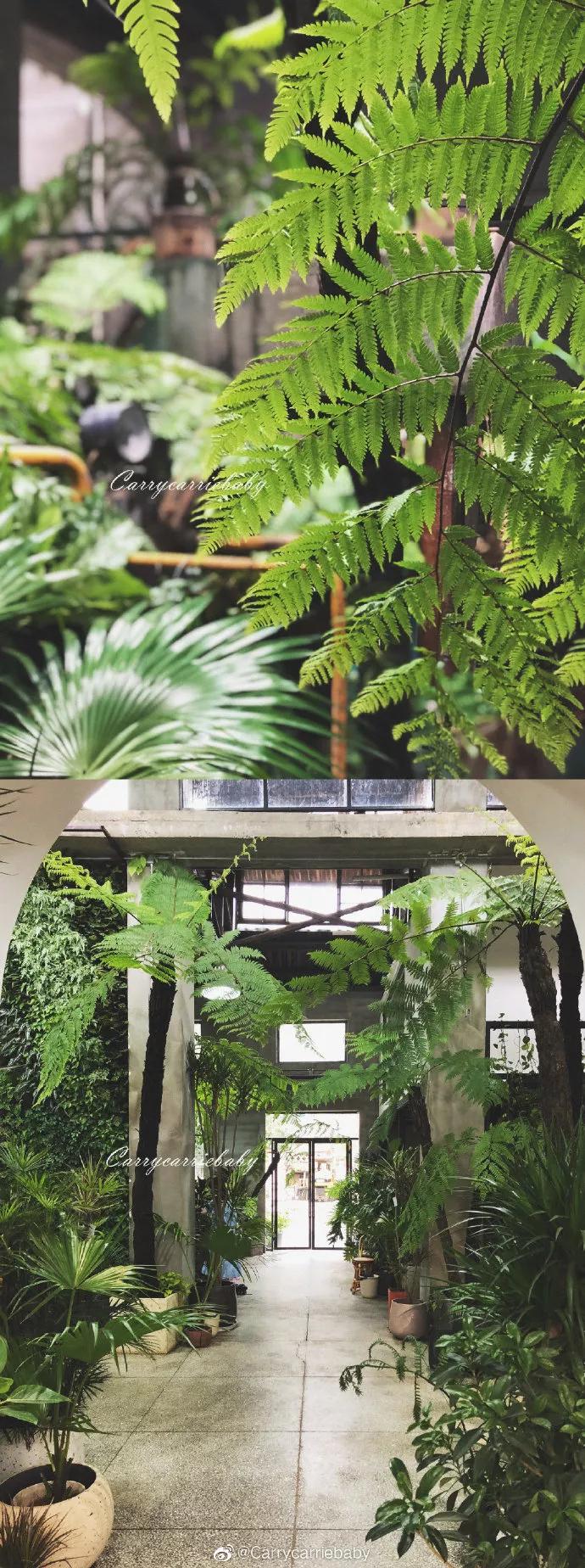 福州复古咖啡探店,福州高逼格咖啡店