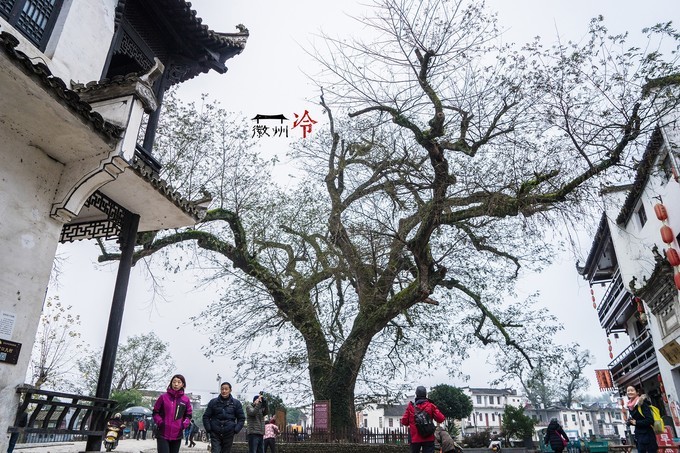 「徽州冷」宏村秋深晴少，友谊地久天