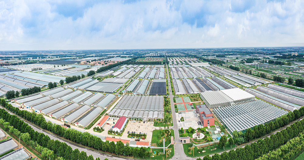 瀵垮厜钄彍鐒曞彂鏂扮殑娲诲姏,瀵垮厜鏂版槬娲诲姩