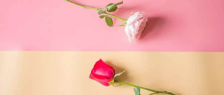 三天卖空千亩玫瑰,聚划算如何成为卖家的“新高地”