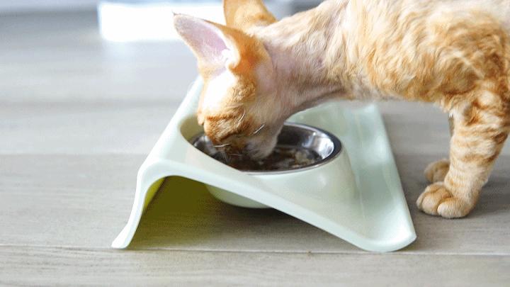 房价那么贵一点也不能浪费,台面净热一体净水机测评