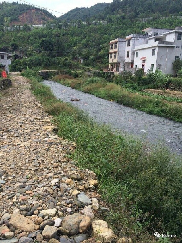 卢嘉锡祖籍是浙江卢宅的吗,卢嘉锡祖籍是哪里人