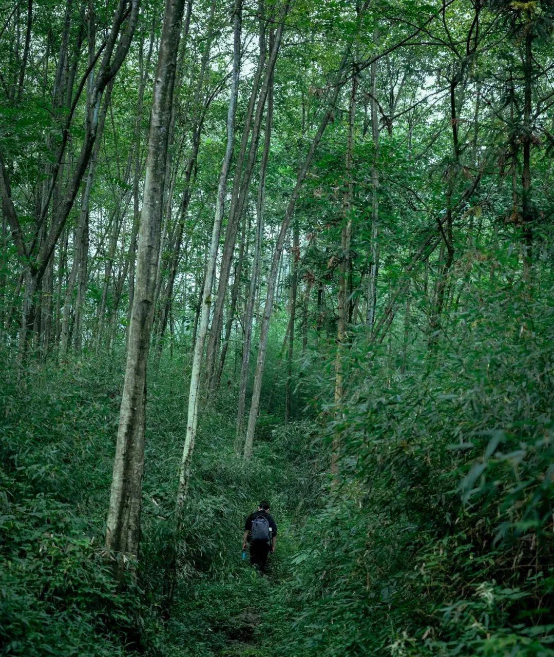 国庆成都周边旅游攻略推荐,成都周边旅游国庆2-3天推荐地方