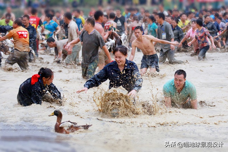 美丽乡村的盈利项目,美丽乡村项目的成功案例