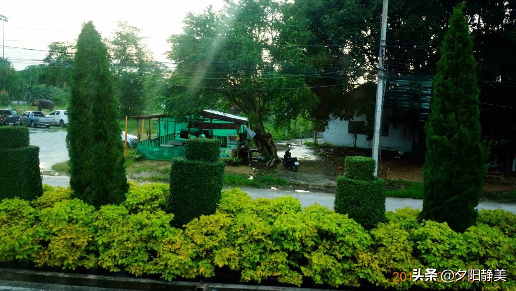 泰国芭提雅东芭乐园视频,芭提雅东芭乐园游玩攻略