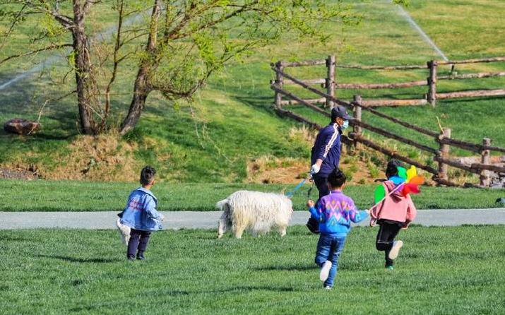 避暑亲子旅游推荐5天游,暑期草原亲子游攻略