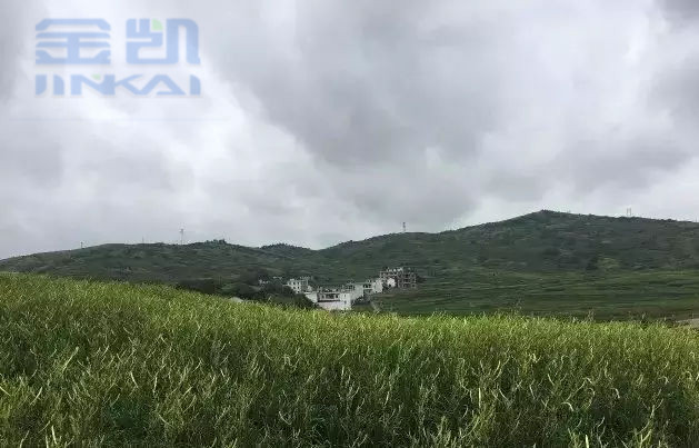 蓝天黄花菜烘干机,空气能黄花菜烘干设备