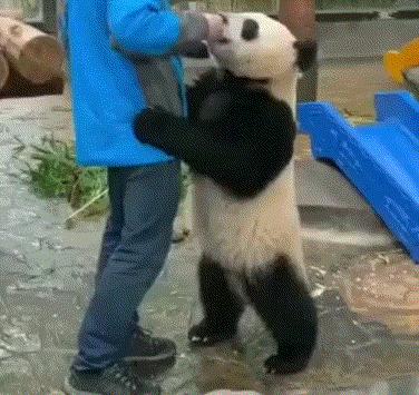 赌100袋辣条,赌十包辣条