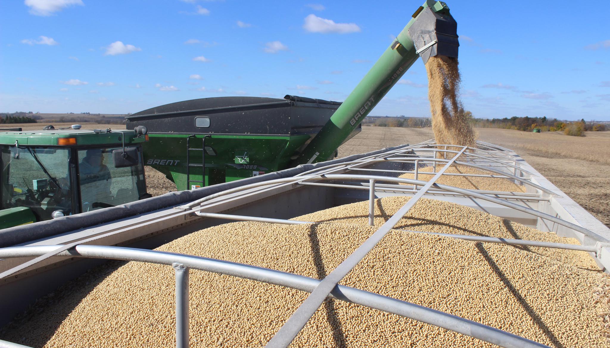 垄断中国90%粮食种子市场！美国若发动粮食战争，我们还有饭吃吗