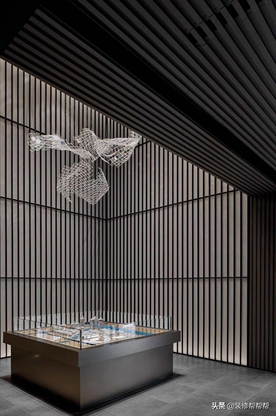 心向自然四川,心向自然完整视频