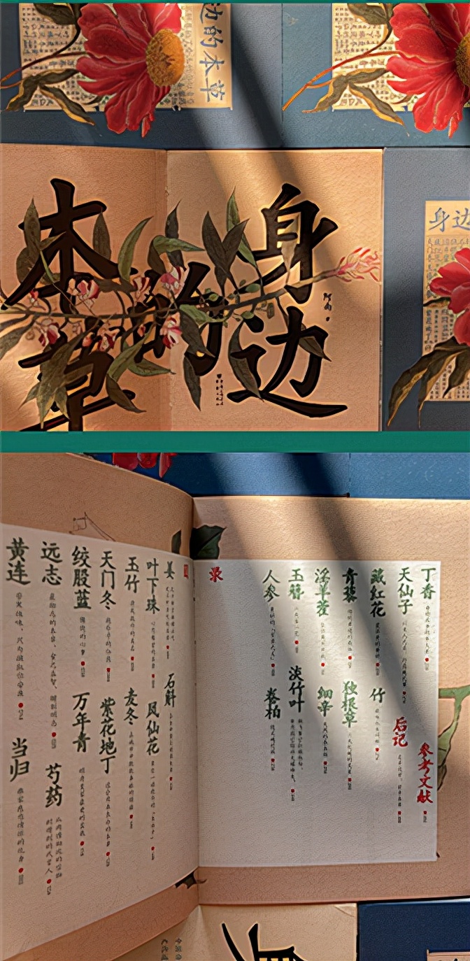 姜、黄连、丁香、玉簪、芍药、天门冬、紫花地丁……26种本草的前世今生