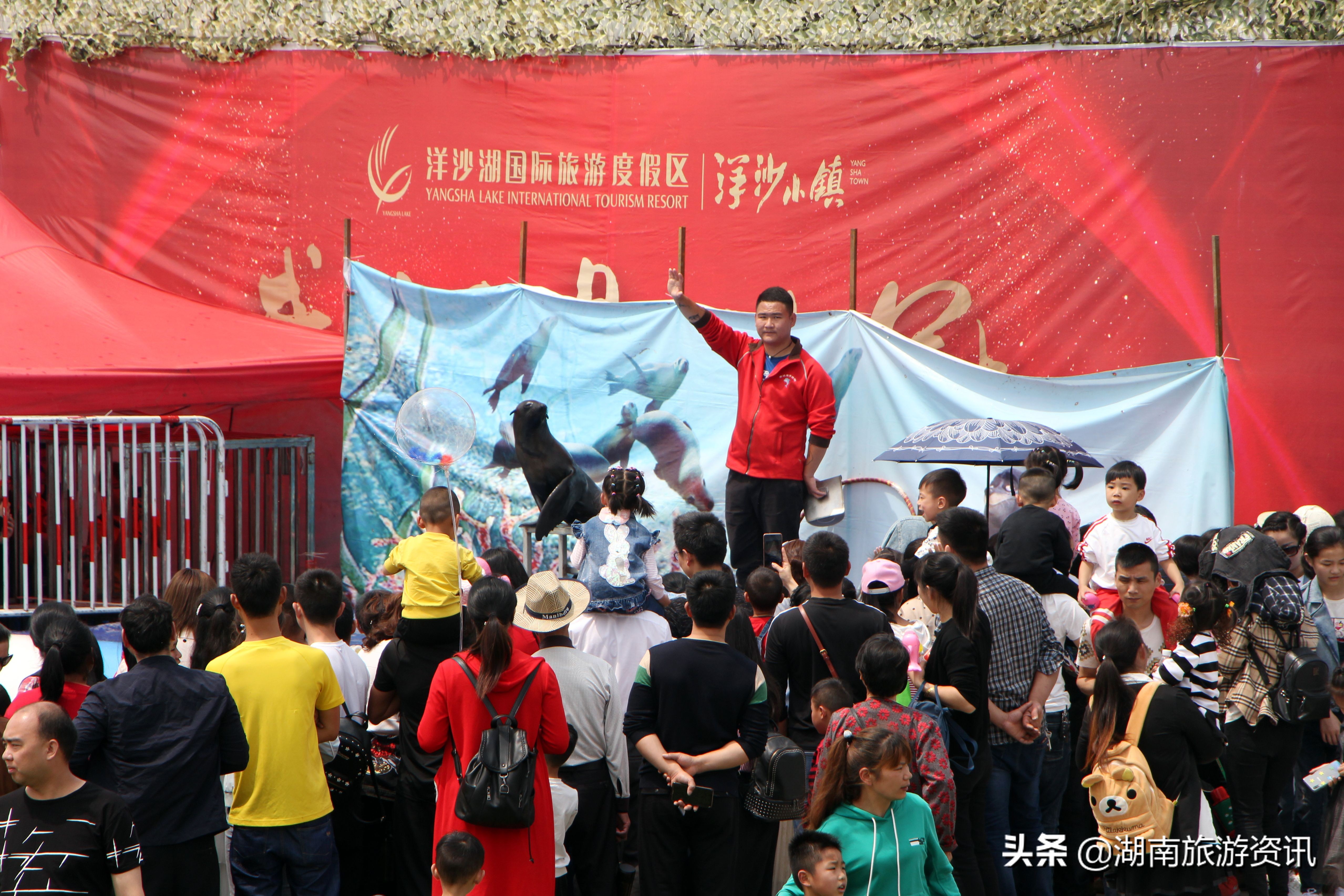 长沙洋沙湖湿地公园,湘阴洋沙湖五一活动