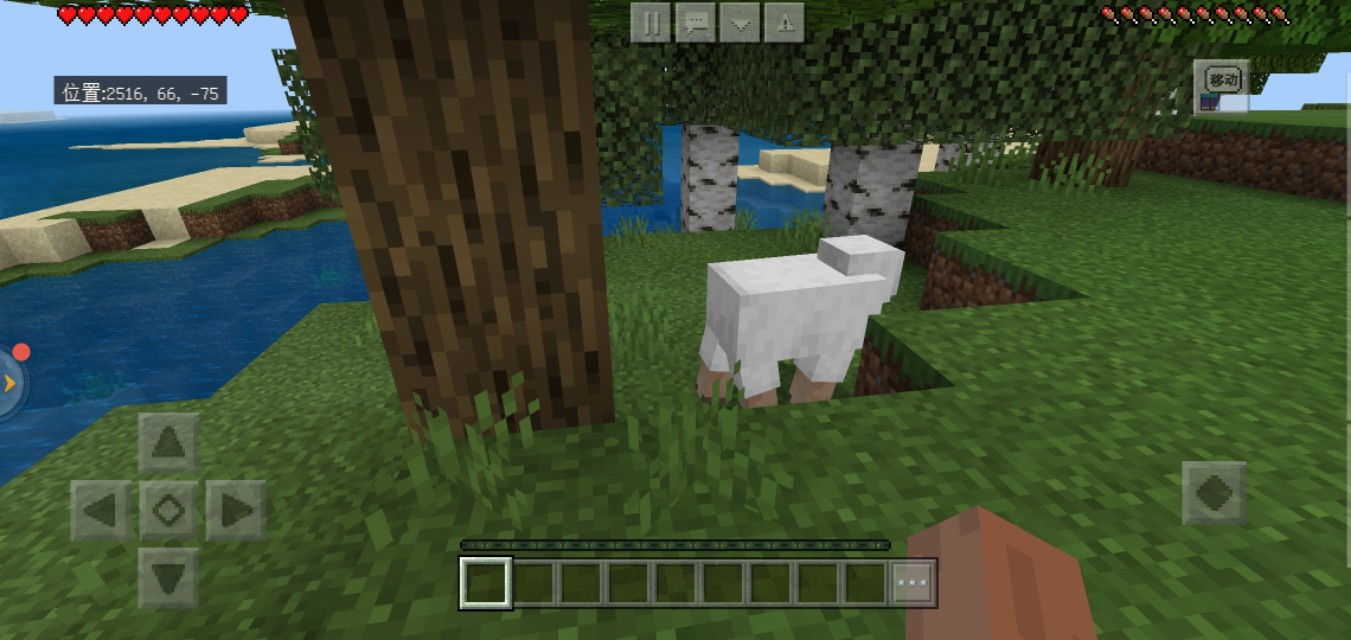 漂流好久发现红土大陆!远古时期mc玩家上线-MC日记(1)