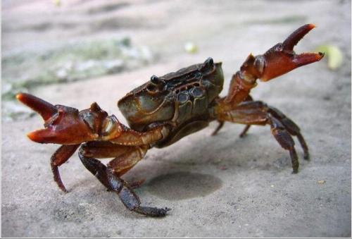 都市奇妙物语灵异事件,都市奇妙物语6岁女孩