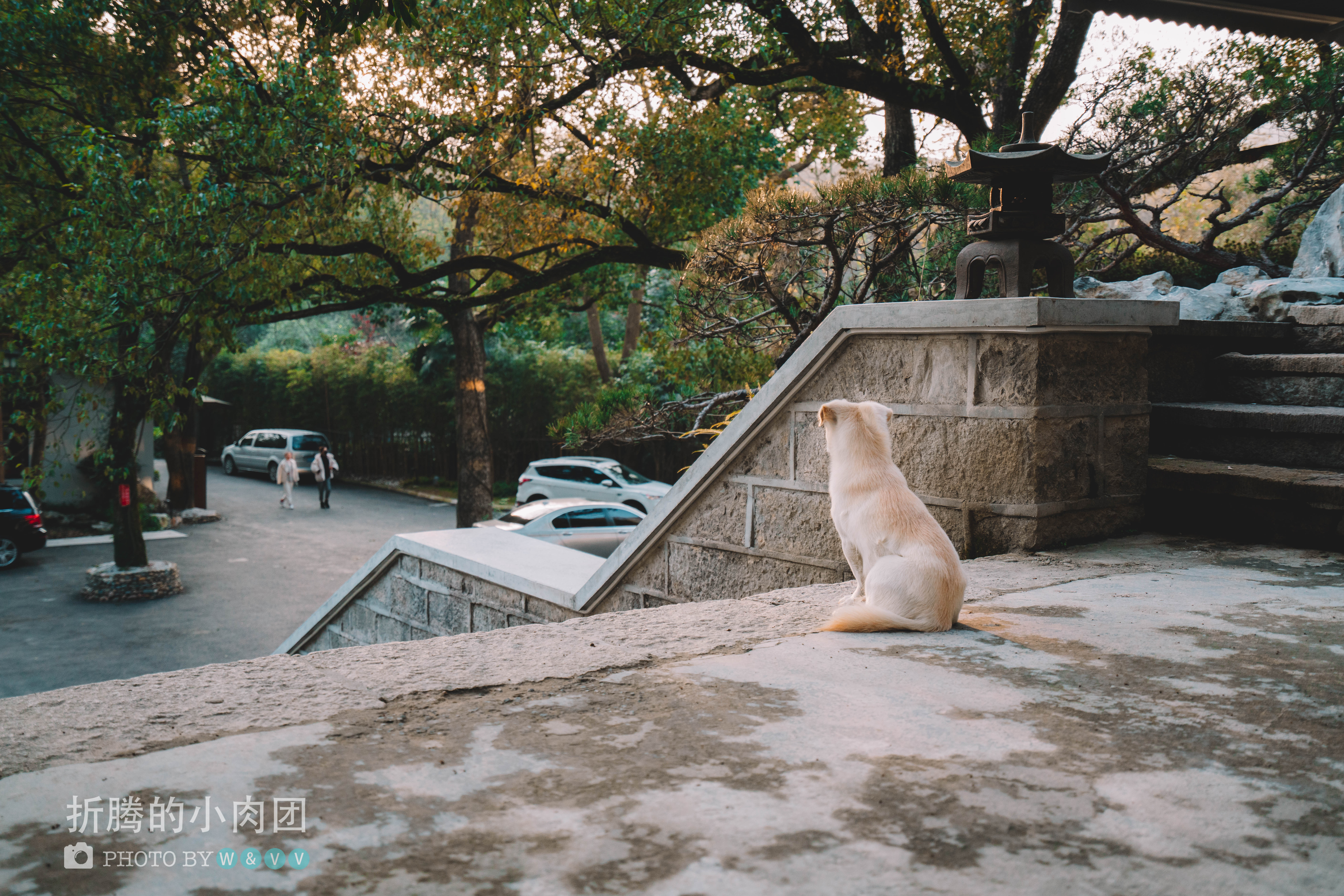 深度游玩杭州西湖,众人皆爱江南韵唯我独赏十二钗