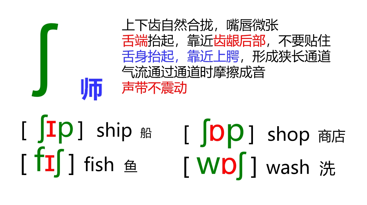 48个音标全套卡片作用,英语音标卡片48个正确发音嘴型
