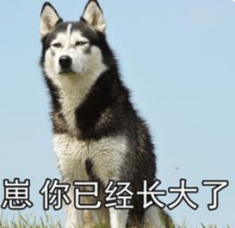 剑网三新门派宣传,剑网三官方宣传视频