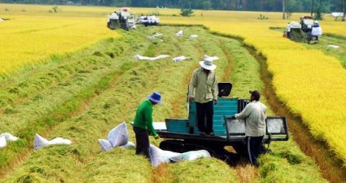 越南情况详细分析,越南真实最新实拍视频